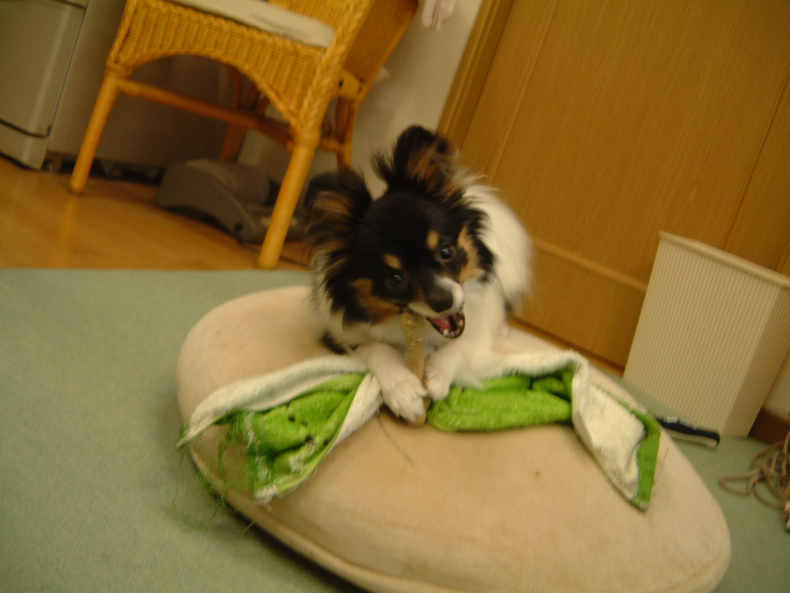 �����C���[�W