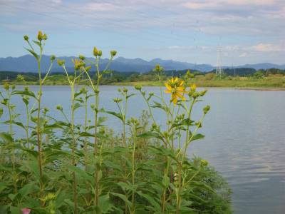 �H�ރC���[�W