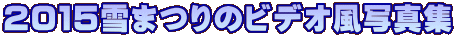 ２０１５雪まつりのビデオ風写真集