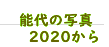 �\��̎ʐ^�@ 2020����